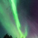 Stenberg By Booklapland