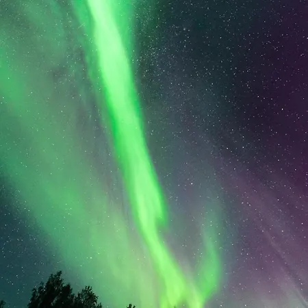 Stenberg By Booklapland