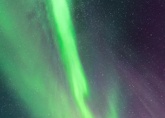 Stenberg By Booklapland